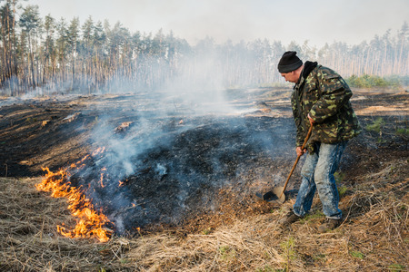 BOYARKA, UKRAINE - 26 MART 2015: Firefighter or firemen in forest fire. It was controlled forest fire or prescribed burning using low intensity surface fire for promoting reforestation in the mature pine stand.のeditorial素材