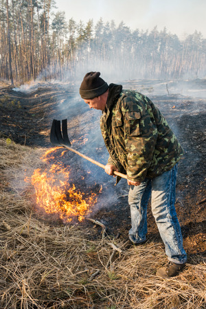 BOYARKA, UKRAINE - 26 MART 2015: Firefighter or firemen in forest fire. It was controlled forest fire or prescribed burning using low intensity surface fire for promoting reforestation in the mature pine stand.のeditorial素材