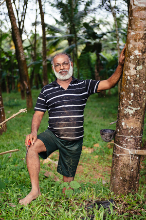 ARANMULA, INDIA - DECEMBER 5 : Authentic asian man working in rubber tree plantationのeditorial素材