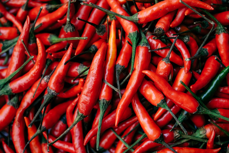 Big pile of red chili pepperの写真素材