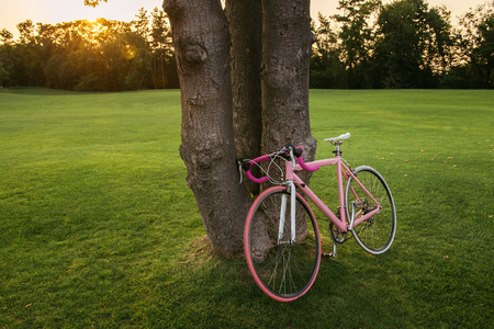 Beautiful pink bicycle bicycle stands under the tree in parkの写真素材