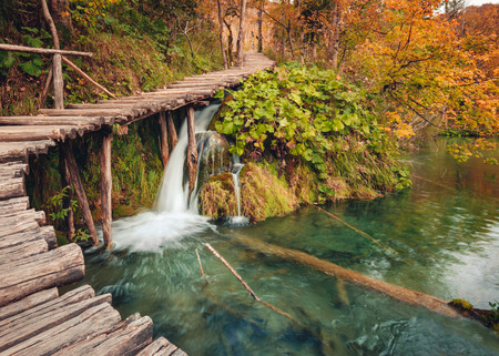 Wooden footpath in autumn forest in Plitvice Lakes National Park, Croatiaの写真素材
