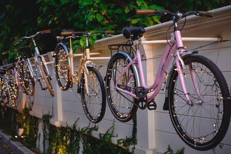 Atmospheric wall decorated by retro bicycle with many light and green big green leafs at sunset の写真素材
