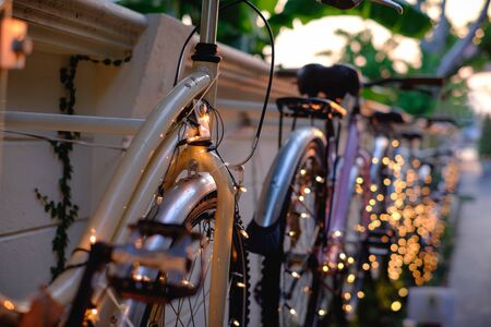 Atmospheric wall decorated by retro bicycle with many light and green big green leafs at sunset の写真素材