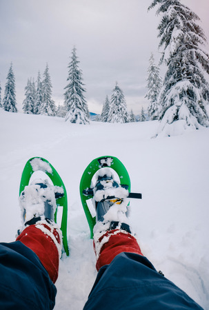 Winter sport activity. Hiking in beautiful winter mountain between fir trees covered by snow in snowshoesの写真素材