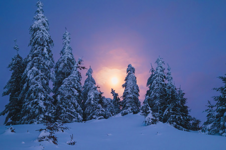 Winter mountain hills and forest in night time with full moon light on blue skyの写真素材
