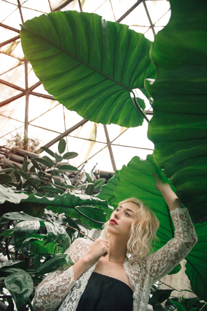 Beautiful young fashion woman with blond hair and perfect figure posing in the palm leaves in the jungle. Young pretty girl in green tropical forest or greenhouseの写真素材