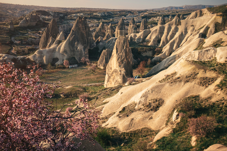 Colorful valley with cave houses and fairy chimneys rock formation in the morning sunrise  near Goreme village. Cappadocia is famous travel destination with beautiful limestone mountains landscape, Turkeyの写真素材
