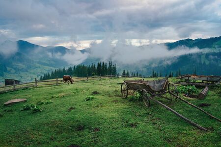 Mountain Ukrainian village Dzembronya covered by fog in the morningの写真素材