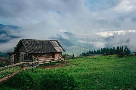Mountain Ukrainian village Dzembronya covered by fog in the morningの写真素材