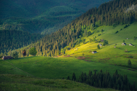 Mountain rural landscape with sun light on the green hills at sunrise.の写真素材