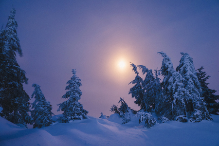 Winter mountain hills and forest in night time with big moon on blue skyの写真素材