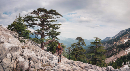 Single evergreen trees covering mountain sides of Tahtali and a young traveler (shot from back) taking a moment to witness this beauty aroundの写真素材