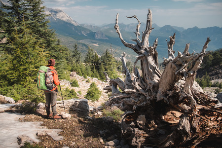 Hiker show from back standing next to the big dead tree, looking at the beautiful view of Tahtali mountainの写真素材
