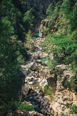 Splendid view of mountain rivulet streaming down the stones and accompanied by trees on a sunny day somewhere in Turkeyの写真素材
