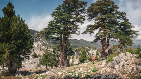 Distant silhouette of a traveler trekking along picturesque Lycian trail in Turkeyの写真素材