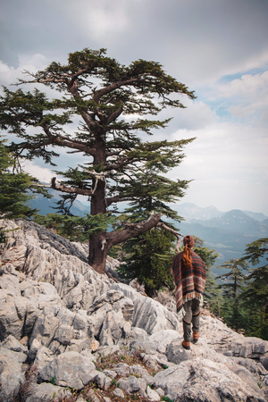 Single evergreen trees covering mountain sides of Tahtali and a young traveler (shot from back)  taking a moment to witness this beauty aroundの写真素材