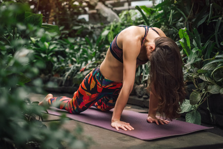 Barefooted sporty and young female yoga instructor, wearing colorful outfit, doing yoga stretching exercise on a purple mat at greenhouse. Healthy lifestyle concept.の写真素材
