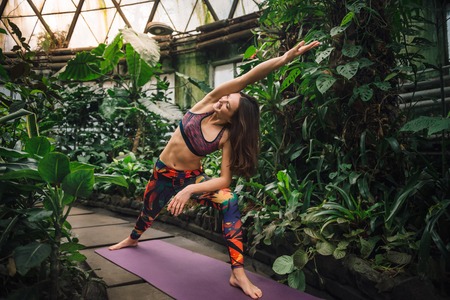 Attractive barefooted female yoga instructor in a colorful outfit standing in a reverse warrior pose on a purple mat at the greenhouse. Healthy lifestyle concept.の写真素材