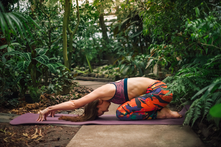 Young barefooted caucasian woman in colorful outfit doing yoga exercise called extended child's pose on a mat at greenhouse. Healthy lifestyle concept.の写真素材
