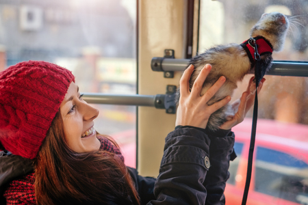 Beautiful young woman in a red cap showing city life to her pet ferret on a tram.Woman and a pet concept.の写真素材