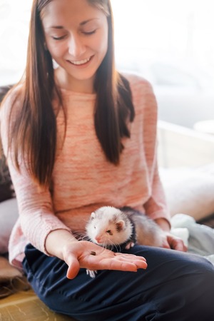 Beautiful girl feeding her adorable pet ferret from the hand in the cafe.Woman and a pet concept.の写真素材