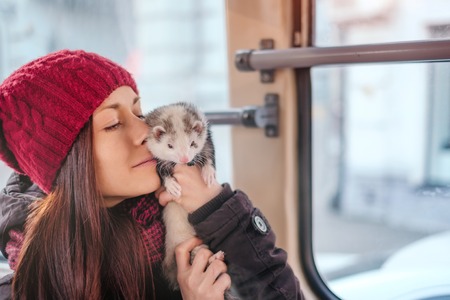 Sensual girl kissing her pet ferret on a tram on a sunny cold day. Woman and a pet concept.の写真素材