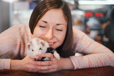 Pet ferret in hands of its beautiful owner, bonding in cafe. Selective focus. Portrait. Woman and a pet concept.の写真素材