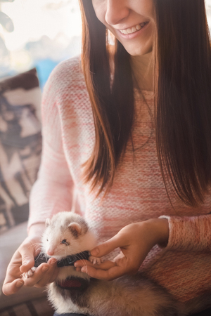 Smiling girl with long brown hair holding paws of her pet ferret in her hands in cafe. Woman and a pet concept.の写真素材