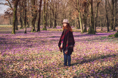 Sensual young lady with the sun in her red hair, standing among blooming nature, enjoying aroma of purple crocuses in Spring. Inspiration and wanderlust travel concept.の写真素材