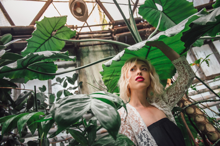 Portrait of an attractive female model standing under the giant exotic leaf holding it with one hand at the greenery. Low angle view.の写真素材