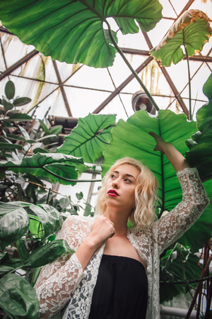 Fashion portrait of young female model wearing white lace cardigan and black top standing under the exotic leaf holding it with one hand at the greenhouse, low angle view.の写真素材