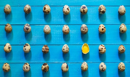Raw quail egg collection on blue backgroundの写真素材