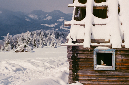 Decayed wooden cottage in a mountain village covered with snow standing in foreground of fir forest and mountain hills in winter on a sunny day. Shot on film camera with noise and grainの写真素材