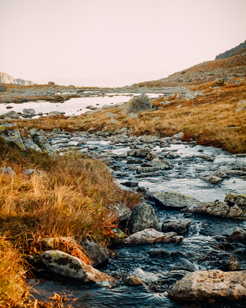 Atmospheric mountain rivulet landscape in Spring, High Tatras, Slovakia. Shot with film camera with grainの写真素材
