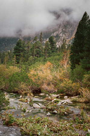 Moody mountain river streaming down stones and mountain hid behind fog in the background. Shot with film camera and grainの写真素材