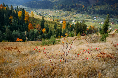Beautiful landscape of Carpathian countryside on a sunny day in Fall. Wanderlust travel concept.の写真素材