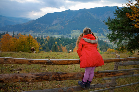Full length portrait of blonde little girl (shot from back) standing on a wooden fence looking at cattle and Carpathian landscape in Autumn. Family time, eco trip concept.の写真素材