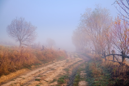Beautiful foggy road in autumn forestの写真素材