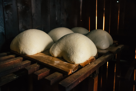 Cheese products from Ukrainian mountain farm villageの写真素材