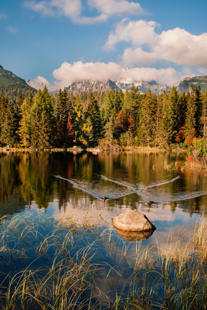 Breathtaking Strbske mountain lake with its reflections on sunset in Autumn, High Tatras in the backgroundの写真素材