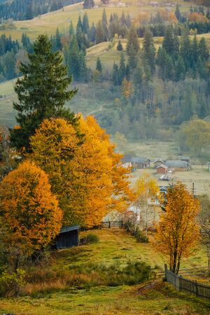 Golden autumn landscape in Carpathian mountain, Ukraine, Verkhovyna, Zelene villageの写真素材