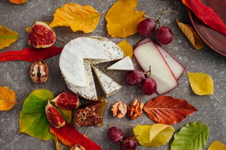 Taste motives and mood. Set of cheese in autumn leaves with honey, fruit and herbal on dark and gray stone backgroundの写真素材