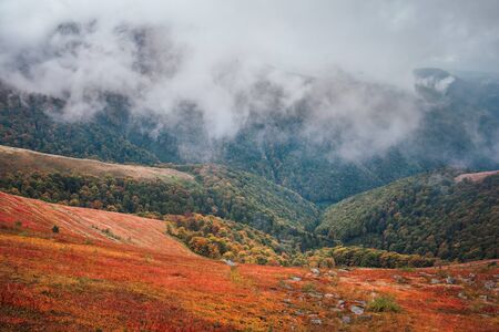 Borzhava mountain range in golden autumn foggy landscape. Hills covered by red carpet leaves. Beautiful Ukraineの写真素材
