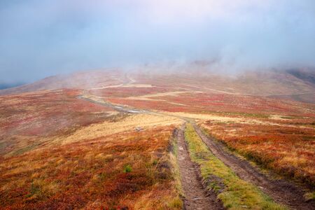 Beautiful Borzhava mountain range in golden autumn foggy landscape. Red leaves covered hills . Ukraineの写真素材
