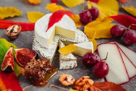 Taste motives and mood. Set of cheese in autumn leaves with honey, fruit and herbal on dark and gray stone backgroundの写真素材