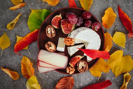 Taste motives and mood. Set of cheese in autumn leaves with honey, fruit and herbal on dark and gray stone backgroundの写真素材