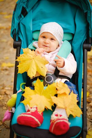 Baby sitting in the stroller and playing with yellow leaves in autumn forest parkの写真素材