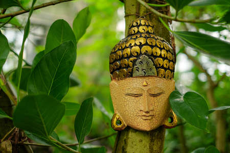 Buddha mask face on the tree near India templeの写真素材