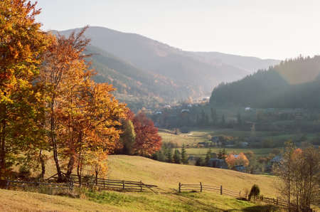 Autumn mountain landscape with beautiful sunrise. Film with grainの写真素材